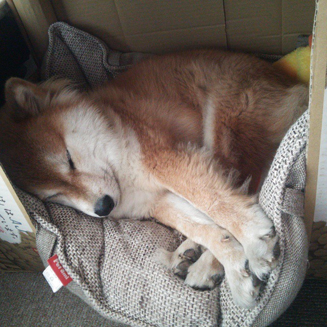 日本奥运队球员受球迷热烈支持，日本奥运队球员受球迷热烈支持吗