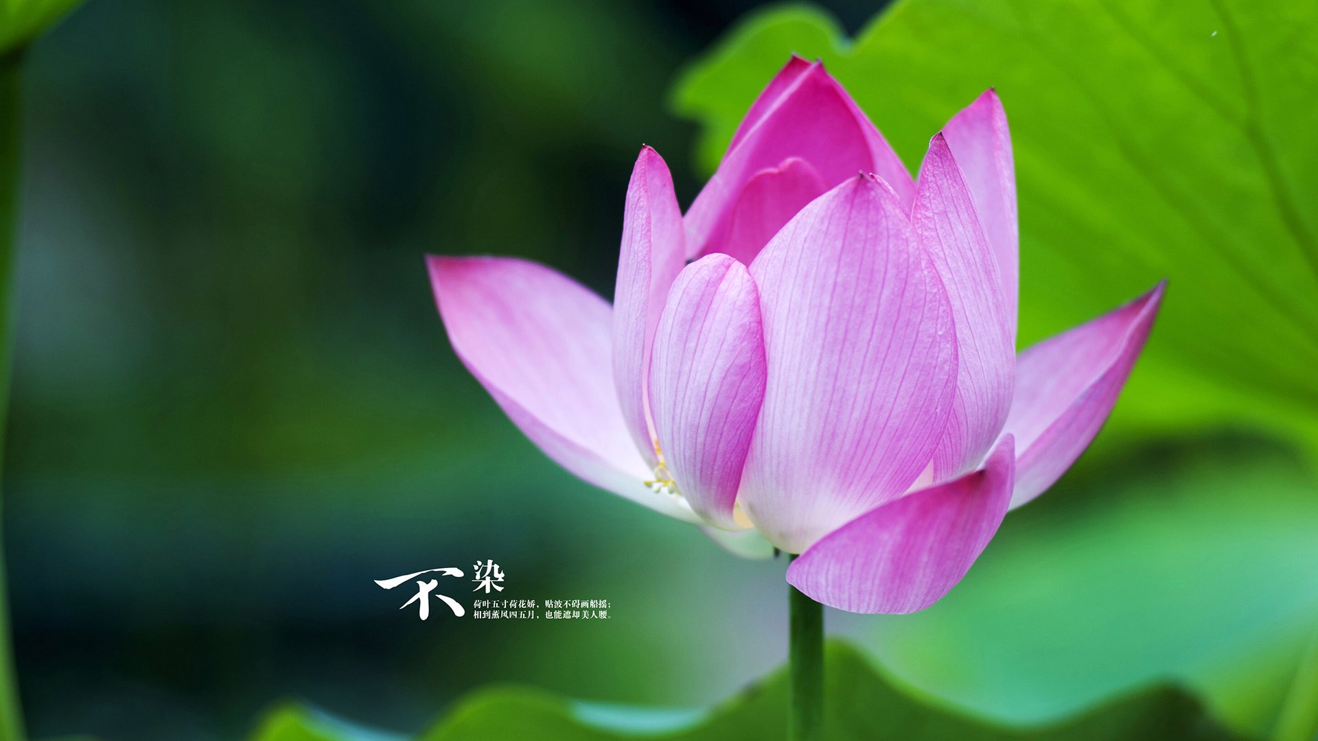 kaiyun开云·官方网站-半场战报：北京54-51略占优势，悬念继续！，北京54和2000的区别